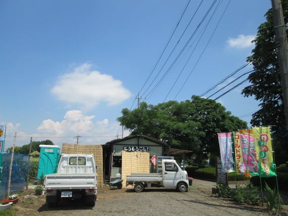 スマイルベジタブル和久井/トウモロコシ/野菜ソムリエ/東京インテリア/東京デザインセンター/家具/栃木県鹿沼市