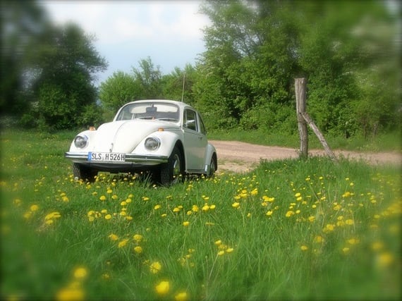 Michael - 68ger - Der einzige Käfer in Deutschland, der an einem 1. Mai zugelassen wurde