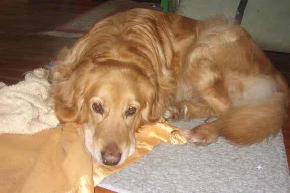 und nach den Ausflügen machen wir es uns wieder gemütlich...