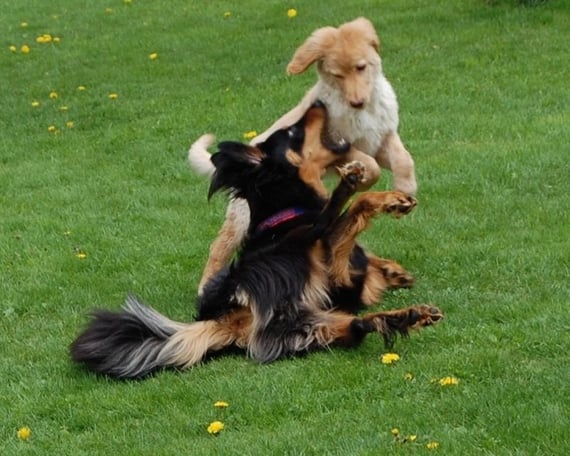 Freya und Booker haben sich gefunden