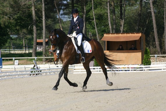 FLIPPER D'OR ENE Maxime Collard photo les Garennes