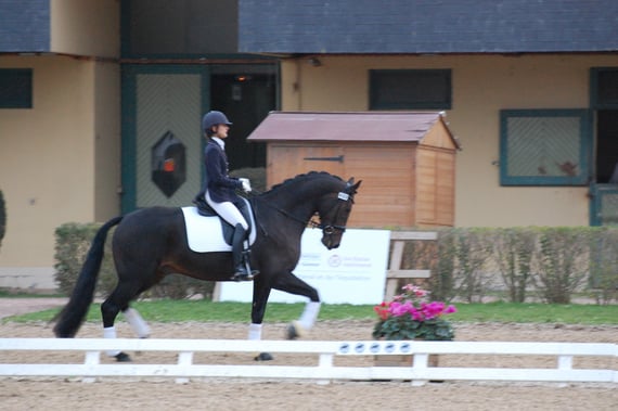 remise des prix Finale des 4 ans Saumur 2010