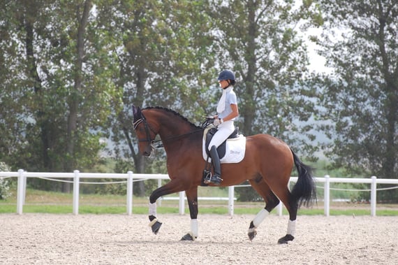 Photo collection Maxime Collard