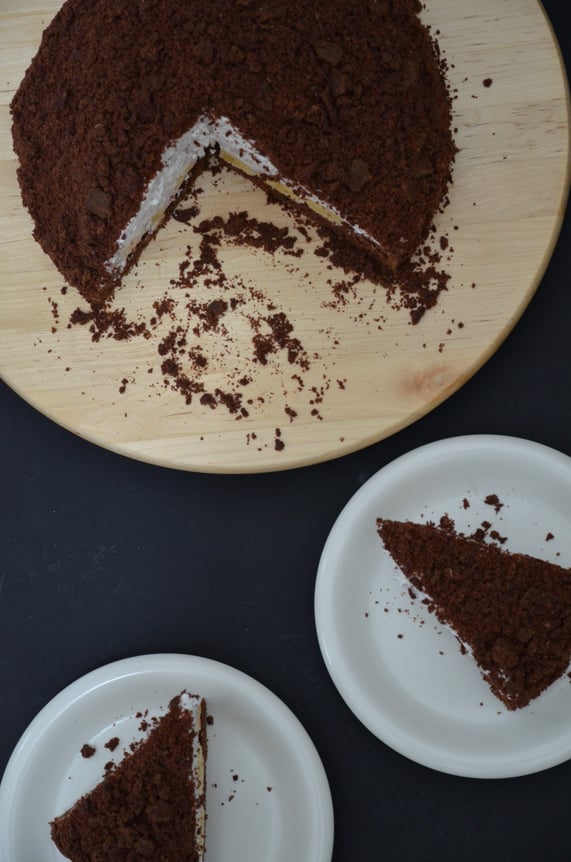 Die Torte lässt sich hervorragend im Kühlschrank aufbewahren oder auch einfrieren. Nur für den Fall, dass ein Stück Torte ausreichend ist.