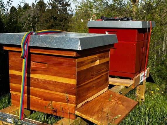 Kursleiter Viktor Siegrist