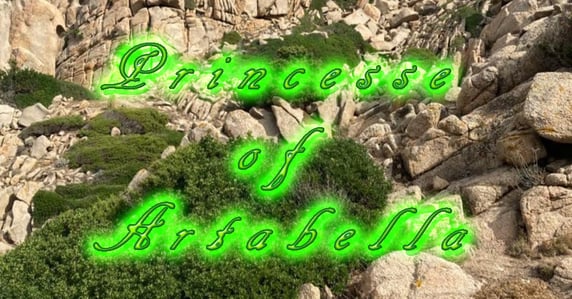 Miniature Bull Terrier Zucht | Princesse of Artabella