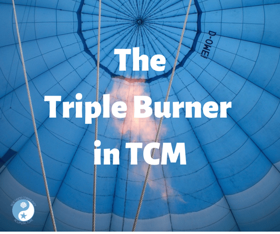 The Triple Burner on the Beachside Blog