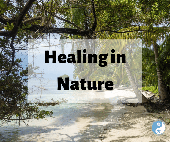 Healing in Nature on the Beachside Blog