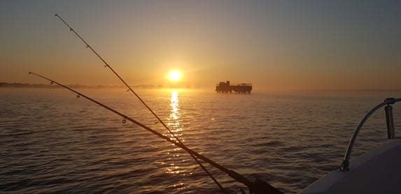 camping landes peche carnassier