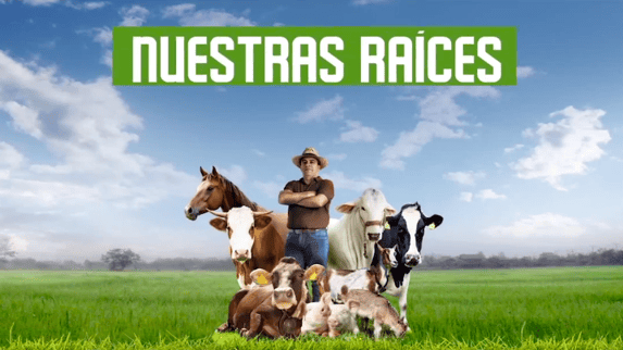 El streaming de la XX Agroexpo se podrá ver este lunes 13 de julio desde las 5:00 pm.