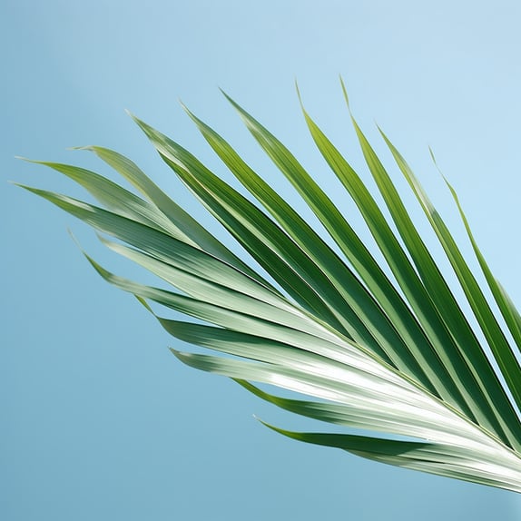Vor dem Hintergrund des blauen Himmels ist ein einzelnes Palmblatt zu sehen, im Stil von hellem Blaugrün und Hellgrau, symmetrische Anordnungen, starke Diagonalen, kommerzielle Bilder, organisch und fließend, lebendig, lebendig, botanische Genauigkeit