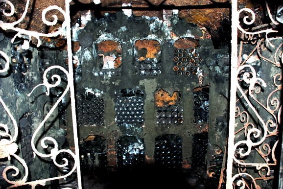 die kellerkatze im weinkeller von peter schweiger