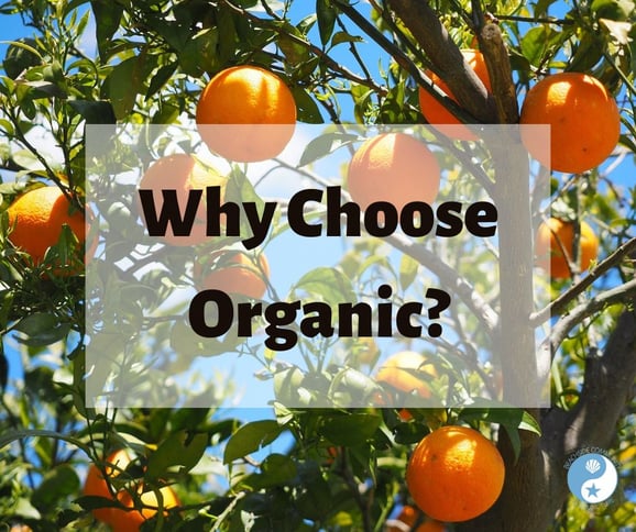 Why Choose Organic? on the Beachside Blog