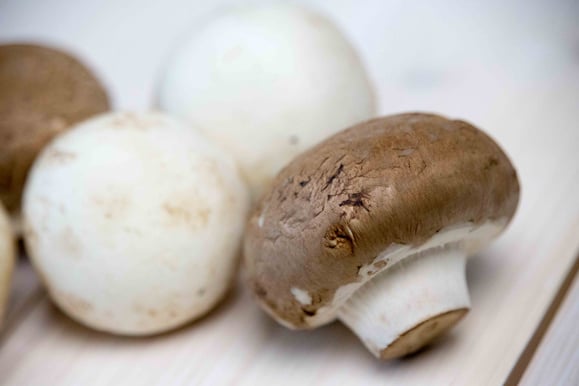 Steamer Rezept: Champignons Pilze.