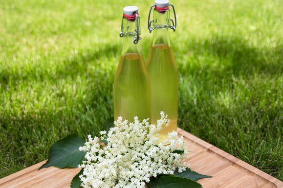 Steamhaus - Rezept für Kombi-Steamer und Dampfgarer: Holunderblüten-Sirup.