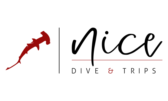 Tauchsafari Saudi Arabien | Rotes Meer, Haie, Wracks | NiCe Dive & Trips