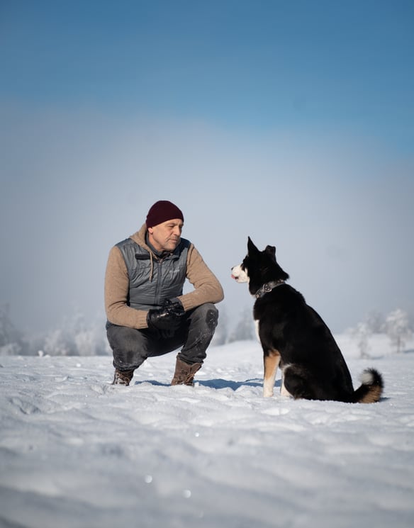 Tiergestützes Jugendcoaching - Sozialpädagogische Einzelbegleitung