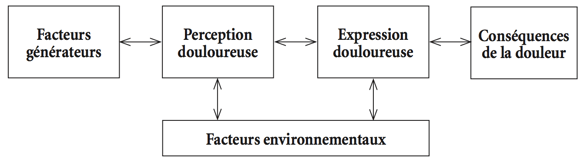 Modèle pluridimensionnel de la douleur
