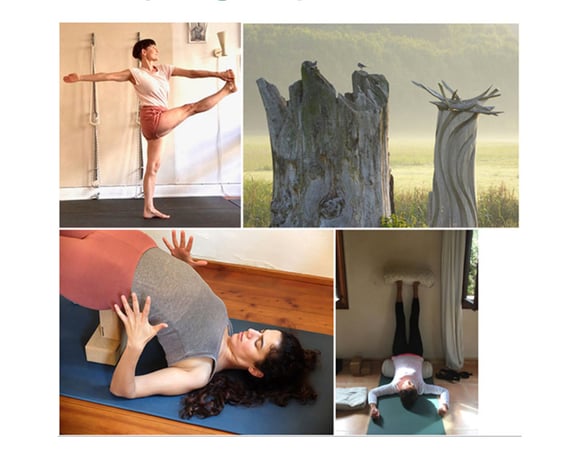 Iyengar Yoga Retreat mit Christine Bader in Seminarhof Kranichmoor