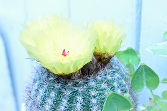 平尾駅そば美容室 P's 