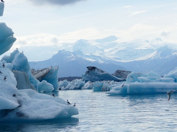 Eisschollen bei Island von Helga Brummer