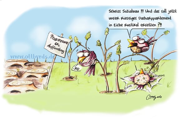 co2ausgleich,ökologischer fußabdruck,aufforstung,regenwald,co2,ottbyrds