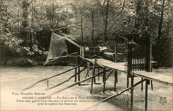 orthe, inondation, peyrehorade, landes, aquitaine, peche, lamproie, baro, gave, arthous, adour, sorde, barthes, radelage, alose, saumon, port de lanne, couralin, hastingues,  tilhole, galupe