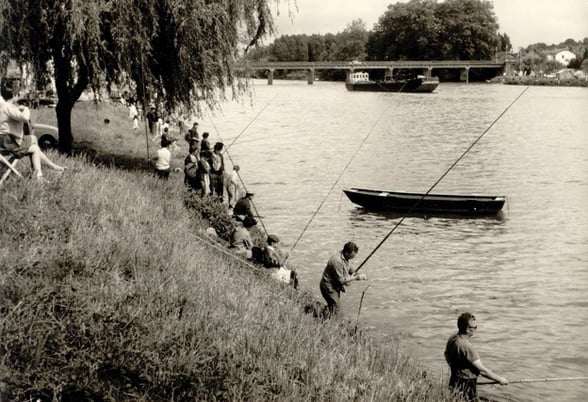 orthe, inondation, peyrehorade, landes, aquitaine, peche, lamproie, baro, gave, arthous, adour, sorde, barthes, radelage, alose, saumon, port de lanne, couralin, hastingues,  tilhole, galupe