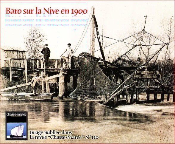 orthe, inondation, peyrehorade, landes, aquitaine, peche, lamproie, baro, gave, arthous, adour, sorde, barthes, radelage, alose, saumon, port de lanne, couralin, hastingues,  tilhole, galupe