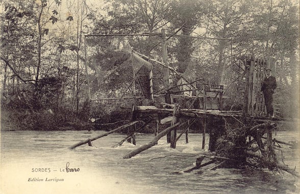 orthe, inondation, peyrehorade, landes, aquitaine, peche, lamproie, baro, gave, arthous, adour, sorde, barthes, radelage, alose, saumon, port de lanne, couralin, hastingues,  tilhole, galupe