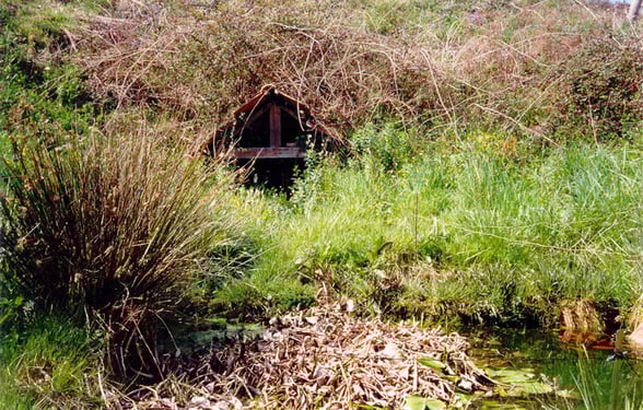 orthe, peyrehorade, landes, aquitaine, peche, lamproie, adour, gave, arthous, cagnotte, sorde, barthes, radelage, alose, saumon, port de lanne, lavoir, couralin, hastingues,  tilhole, galupe