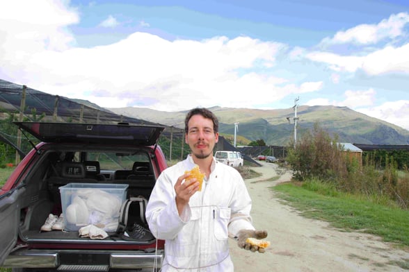 Photo d'Adrien de Puri New Zealand à Central Otago dans l'île sud est prit en photo en train de manger le rayon d'un Miel directement à la bouche, un paysage montagneux en arrière plan