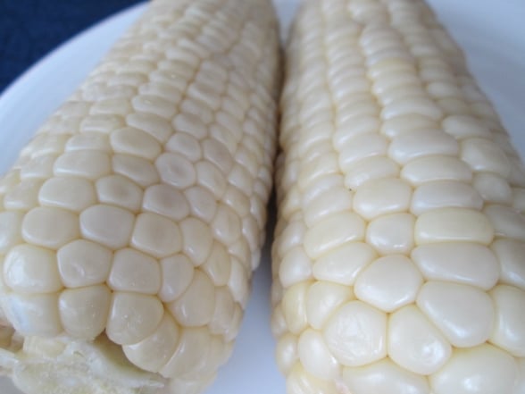 雪の妖精/東京インテリアデザインセンター/家具/栃木県鹿沼市/野菜ソムリエ/トウモロコシ