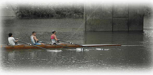 orthe, inondation, peyrehorade, landes, aquitaine, peche, lamproie, baro, gave, arthous, adour, sorde, barthes, radelage, alose, saumon, port de lanne, couralin, hastingues,  tilhole, galupe