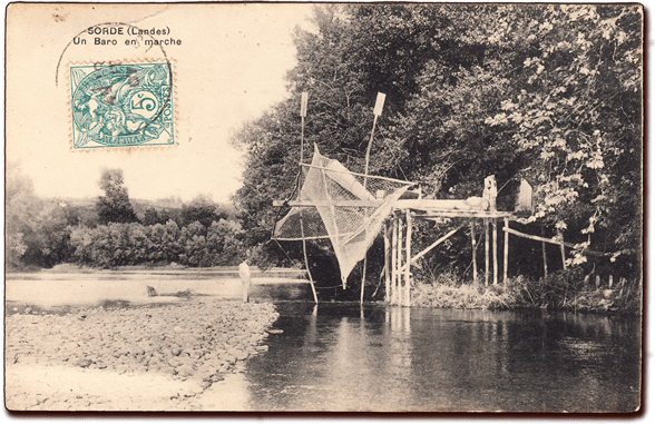 orthe, inondation, peyrehorade, landes, aquitaine, peche, lamproie, baro, gave, arthous, adour, sorde, barthes, radelage, alose, saumon, port de lanne, couralin, hastingues,  tilhole, galupe
