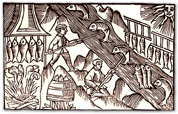 pays d’Orthe, Peyrehorade, Landes, Aquitaine, Barthouil, saumon, fumage, alose, caviar, aulne, pêche, adour, gave