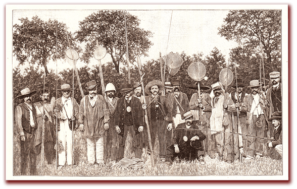 orthe, inondation, peyrehorade, landes, aquitaine, peche, lamproie, baro, gave, arthous, adour, sorde, barthes, radelage, alose, saumon, port de lanne, couralin, hastingues,  tilhole, galupe