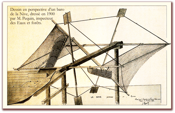 orthe, inondation, peyrehorade, landes, aquitaine, peche, lamproie, baro, gave, arthous, adour, sorde, barthes, radelage, alose, saumon, port de lanne, couralin, hastingues,  tilhole, galupe