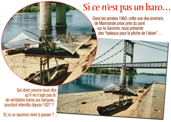 orthe, inondation, peyrehorade, landes, aquitaine, peche, lamproie, baro, gave, arthous, adour, sorde, barthes, radelage, alose, saumon, port de lanne, couralin, hastingues,  tilhole, galupe