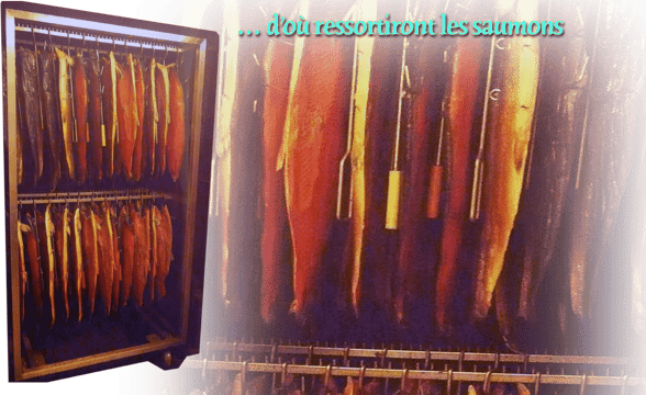 pays d’Orthe, Peyrehorade, Landes, Aquitaine, Barthouil, saumon, fumage, alose, caviar, aulne, pêche, adour, gave