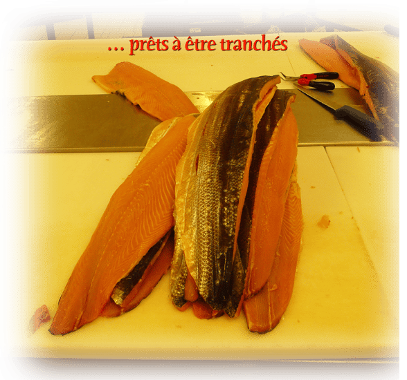 pays d’Orthe, Peyrehorade, Landes, Aquitaine, Barthouil, saumon, fumage, alose, caviar, aulne, pêche, adour, gave