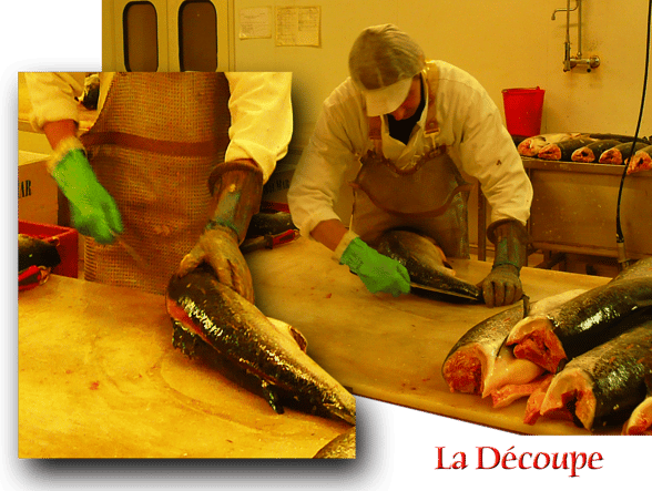 pays d’Orthe, Peyrehorade, Landes, Aquitaine, Barthouil, saumon, fumage, alose, caviar, aulne, pêche, adour, gave