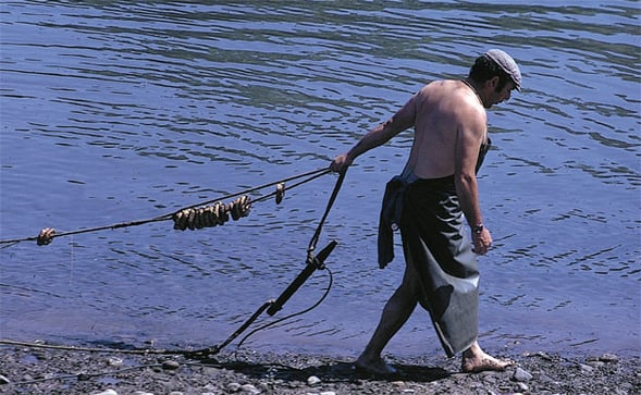 orthe, peyrehorade, landes, aquitaine, peche, lamproie, adour, gave, arthous, cagnotte, sorde, barthes, radelage, alose, saumon, port de lanne, lavoir, couralin, hastingues, tilhole, galupe