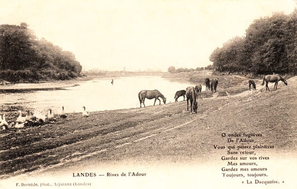 orthe, inondation, peyrehorade, landes, aquitaine, peche, lamproie, pyrenees, gave, arthous, adour, sorde, barthes, radelage, alose, saumon, port de lanne, couralin, hastingues,  tilhole, galupe