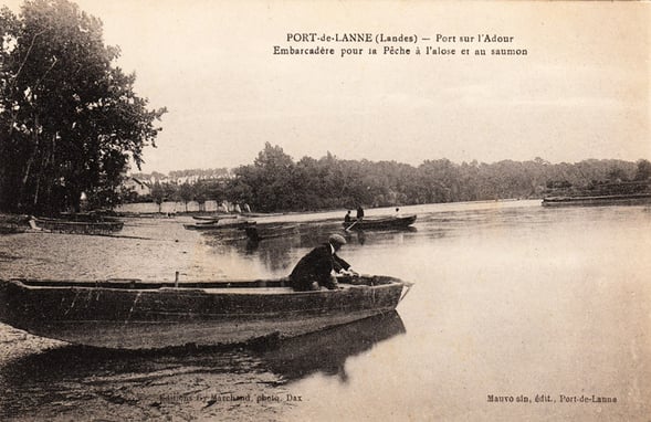orthe, port de lanne, peyrehorade, landes, aquitaine, hastingues, gave, adour, barthes, saumon, alose, bec du gave, lamproie, marée, arthous, lavoir, couralin