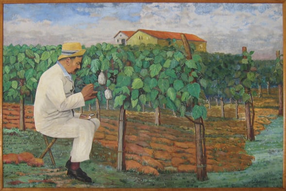 baco, françois, peyrehorade, orthe, landes, aquitaine, dax, adour, belus, labatut, greffe, greffon, phylloxera, armagnac, vignoble, instituteur, hybride, hybridation, viticulture, hudson