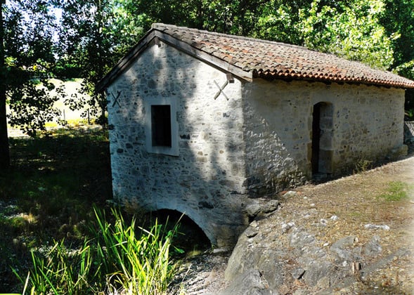 orthe, st etienne d’orthe, adour, gave, peyrehorade, landes, aquitaine, dax, arthous, cagnotte, sorde, barthes, rasport, alose, saumon, kiwi, pedelucq, hondelatte, miremont