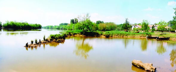 orthe, st etienne d’orthe, adour,  gave, peyrehorade, landes, aquitaine, dax, arthous, cagnotte, sorde, barthes, rasport, alose, saumon, kiwi, pedelucq, hondelatte, miremont