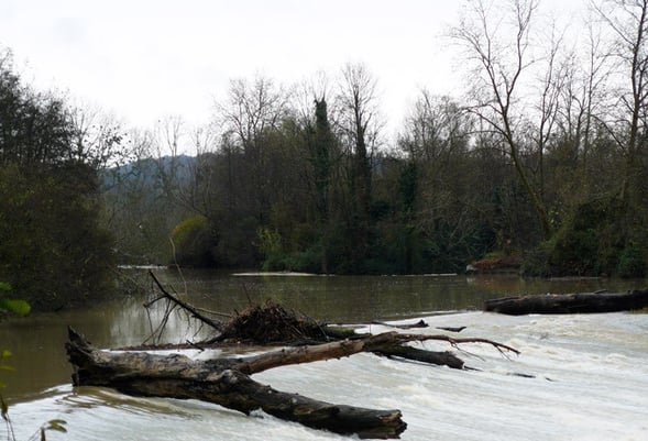 orthe, Sorde, abbaye, peyrehorade, landes, aquitaine, hastingues, gave, adour, barthes, saumon, mazetti, mosaique, plouvier, baro, arthous, lavoir, cryptoportique, dortignacq, pelerin, compostelle