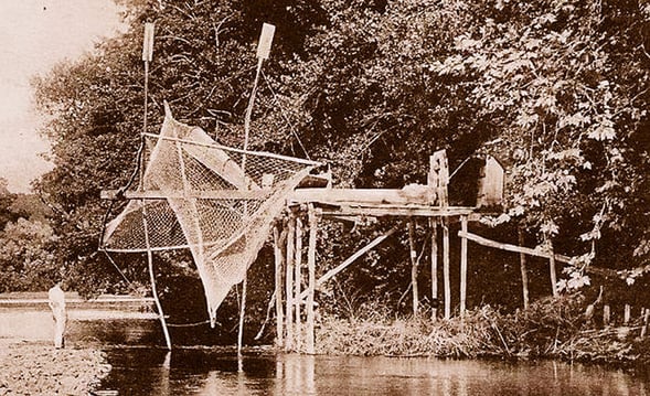 orthe, inondation, peyrehorade, landes, aquitaine, peche, lamproie, pyrenees, gave, arthous, adour, sorde, barthes, radelage, alose, saumon, port de lanne, couralin, hastingues,  tilhole, galupe